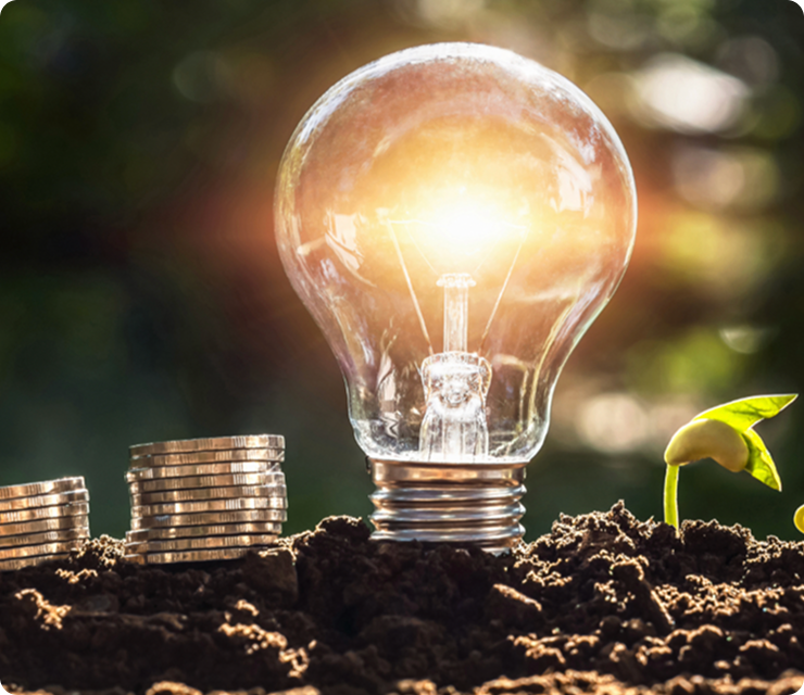 Wat leer je bij bedrijfseconomie?